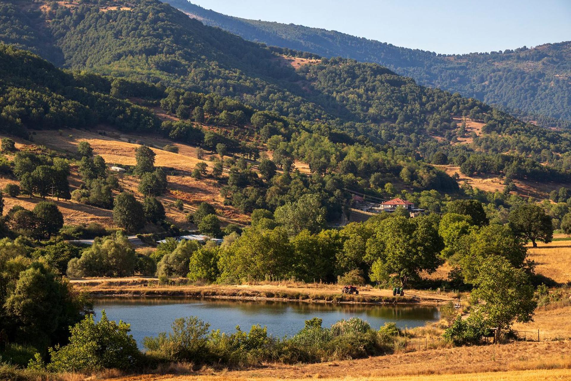 Ktima Bellou Agios Dimitrios  Buitenkant foto