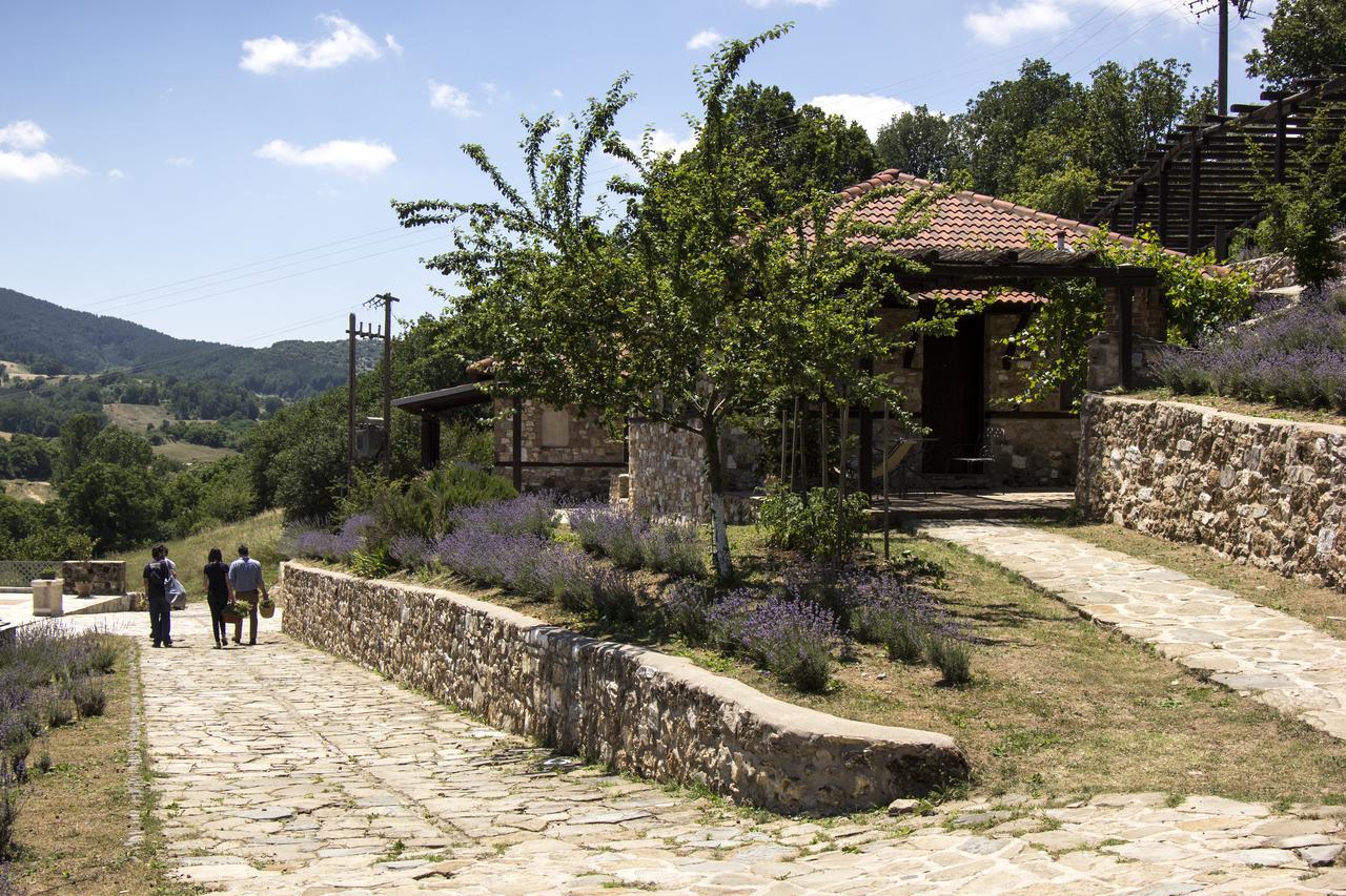 Ktima Bellou Agios Dimitrios  Buitenkant foto